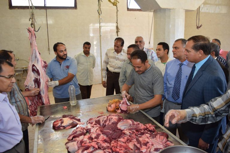 زراعة جامعة سوهاج تفتتح مزرعة التسمين وتختتم موسم الحصاد