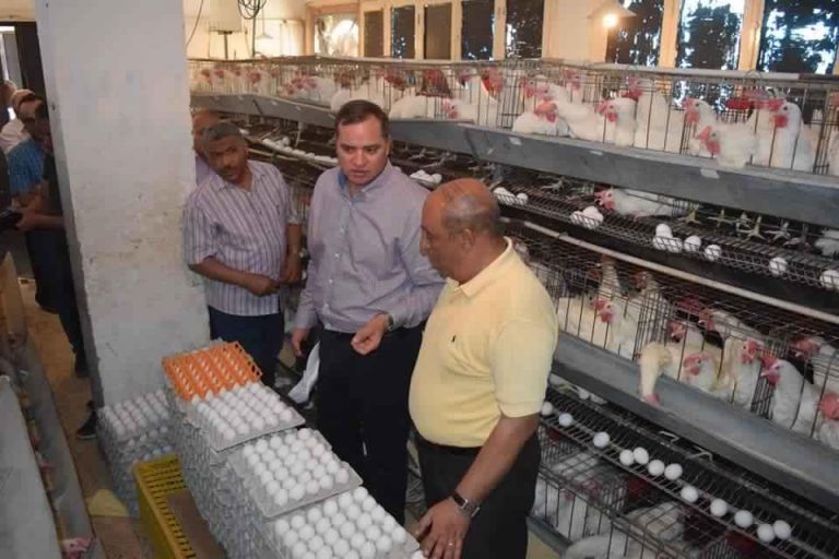 مليون جنيه لتنمية الثروة الحيوانية بجامعة سوهاج