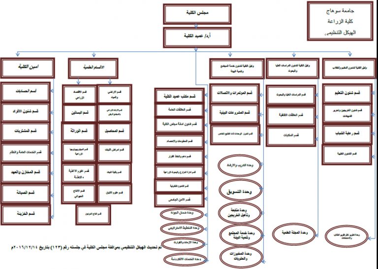 الهيكل التنظيمى
