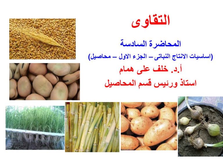 مقررات قسم المحاصيل