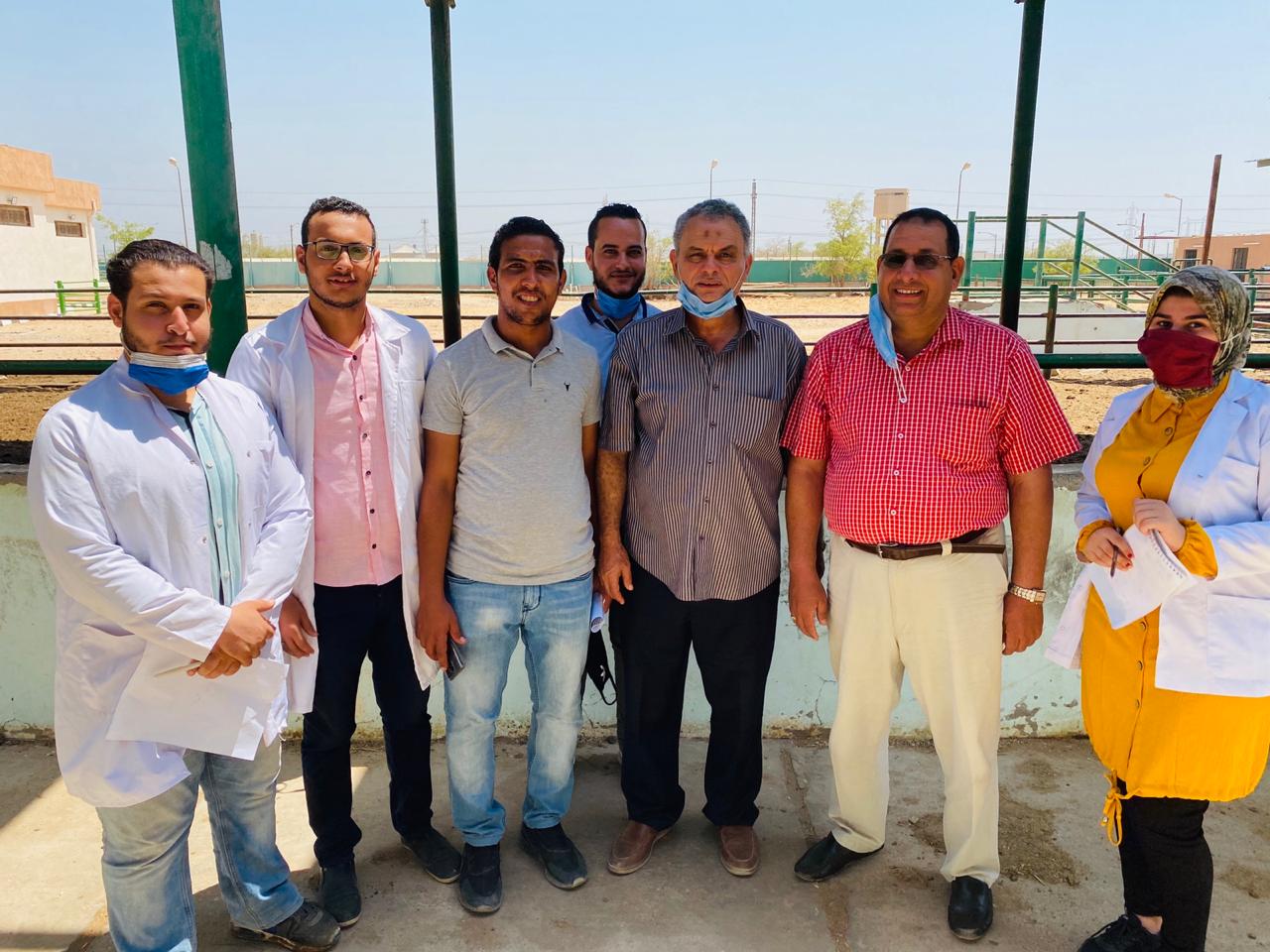 زيارة عميد الكلية لمزرعة الانتاجى الحيوانى لمتابعة فاعليات التدريب الصيفي