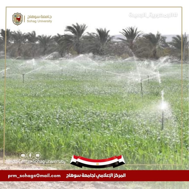 مزارع جامعة سوهاج تحقق إيرادات تتجاوز ١.٢ مليون جنيه خلال موسم بيع تقاوي القمح والبصل المحسن
